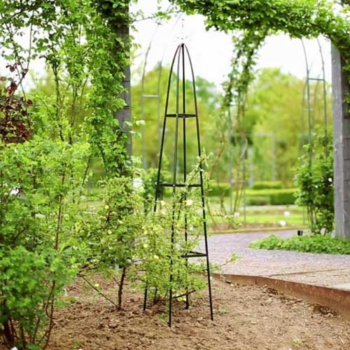 edinstvena pergola
